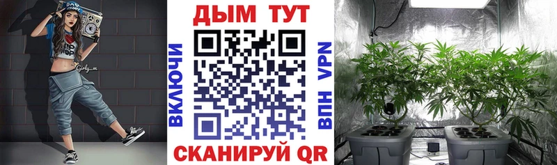 Магазины продажи наркотиков Аркадак Cocaine Меф мяу мяу ГАШ Бошки Шишки