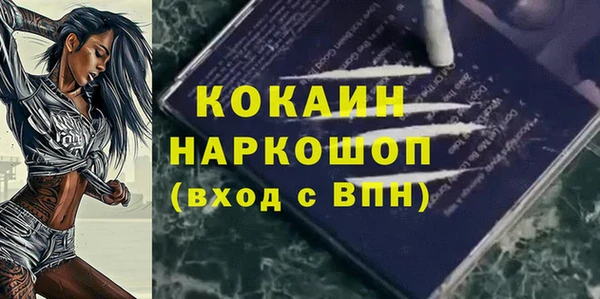 СК Бердск