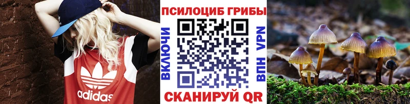 Галлюциногенные грибы ЛСД где найти Аркадак